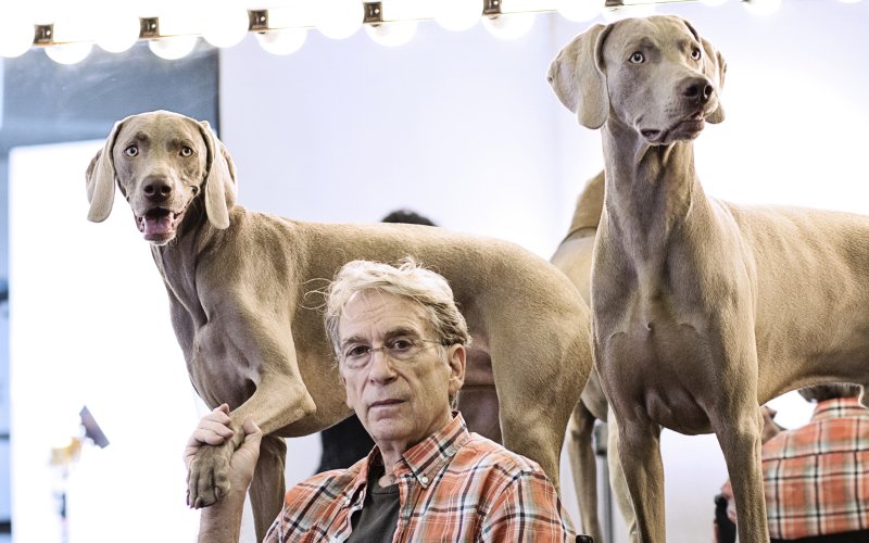 man sits in chair with two dogs standing behind him, he holds the paw of one dog in his hand