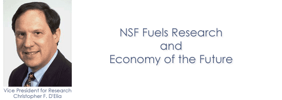 NSF Fuels Research and Economy of the Future