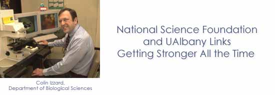 National Science Foundation and UAlbany Links Getting Stronger All the Time