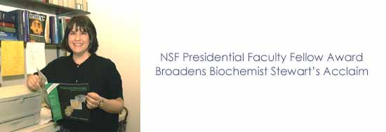 NSF Presidential Faculty Fellow Award Broadens Biochemist Stewarts Acclaim