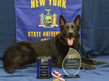 Albany hosts national K-9 competition