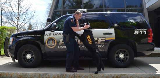 Albany hosts national K-9 competition