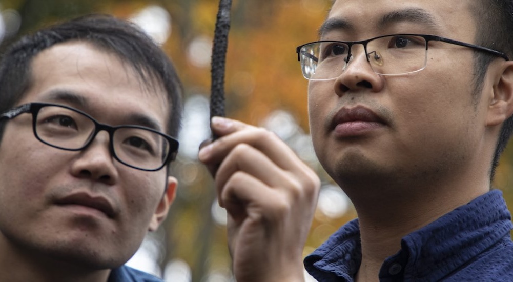 Researchers examine the bark of a tree branch.