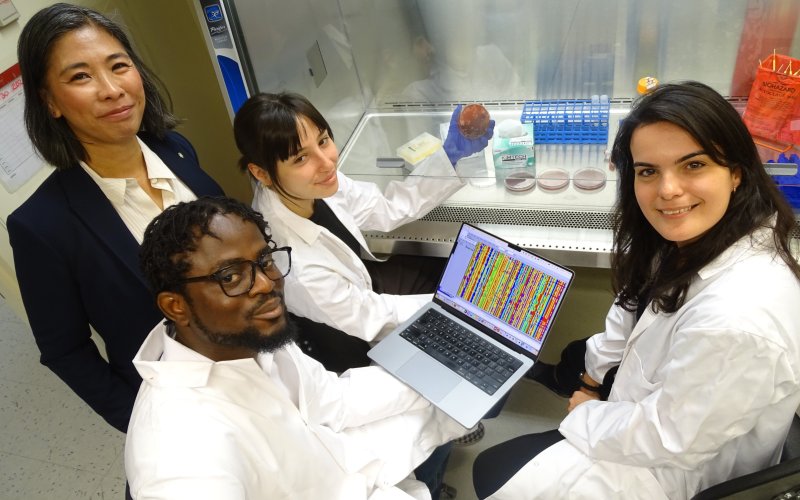 The image is of four UAlbany scientists. Two women and a man are seated, wearing white lab coats. The man is holding a laptop showing a colorful readout of genetic sequences. One of the women is wearing blue protective gloves and is holding a petri dish containing a red growing medium and bacteria, held under a glass protective hood. Other lab supplies including petri dishes, test tubes in a blue rack and a red container labeled ‘biohazard’ are on the lab bench, beneath the glass hood.