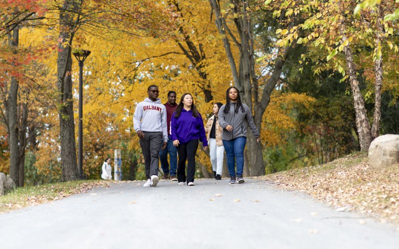 students walking down tree-lined university walking path.