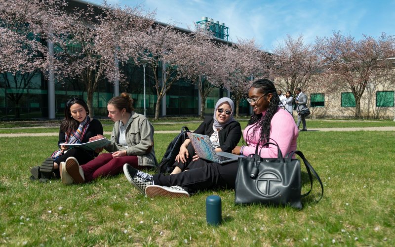 a group of UAlbany students studying together while sitting outside 