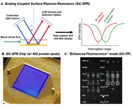 DIagram shows how a rapid test for Lyme disease uses a nanotechnology-based biosensor that leverages grating coupled surface plasmon resonance.