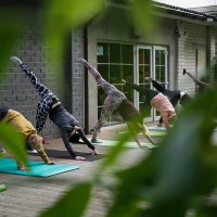 Six people are in downward dog position on colored mats, on a deck outside a building.