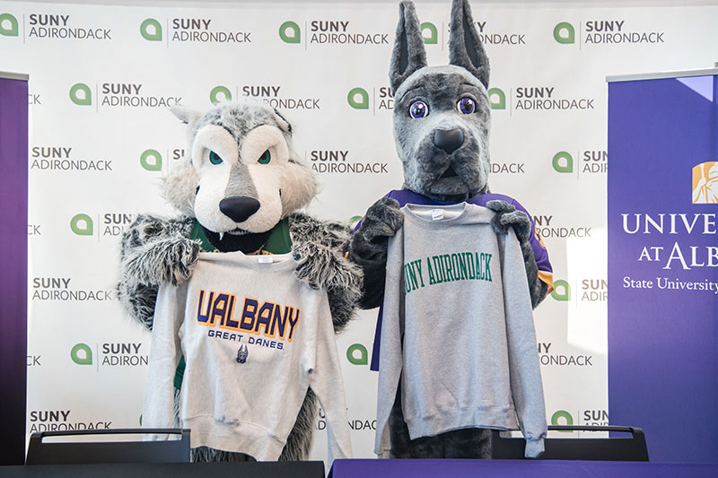 UAlbany and SUNY Adirondack mascots holding up college sweatshirts