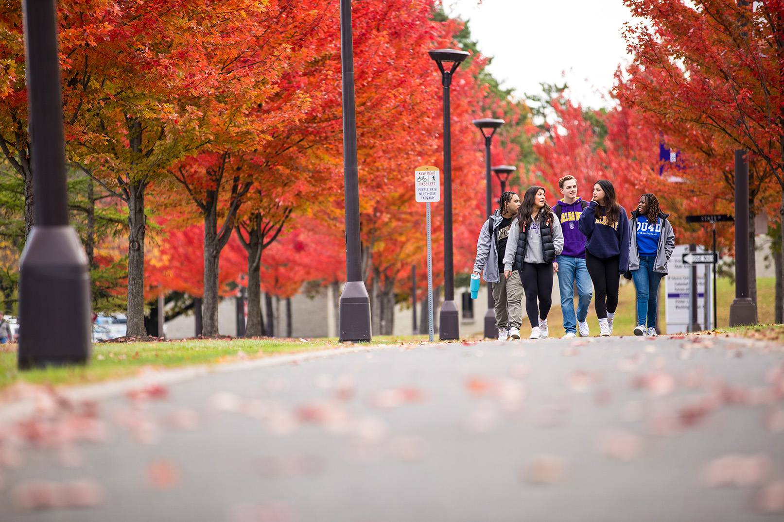 ualbany students walking on campus past red fall trees