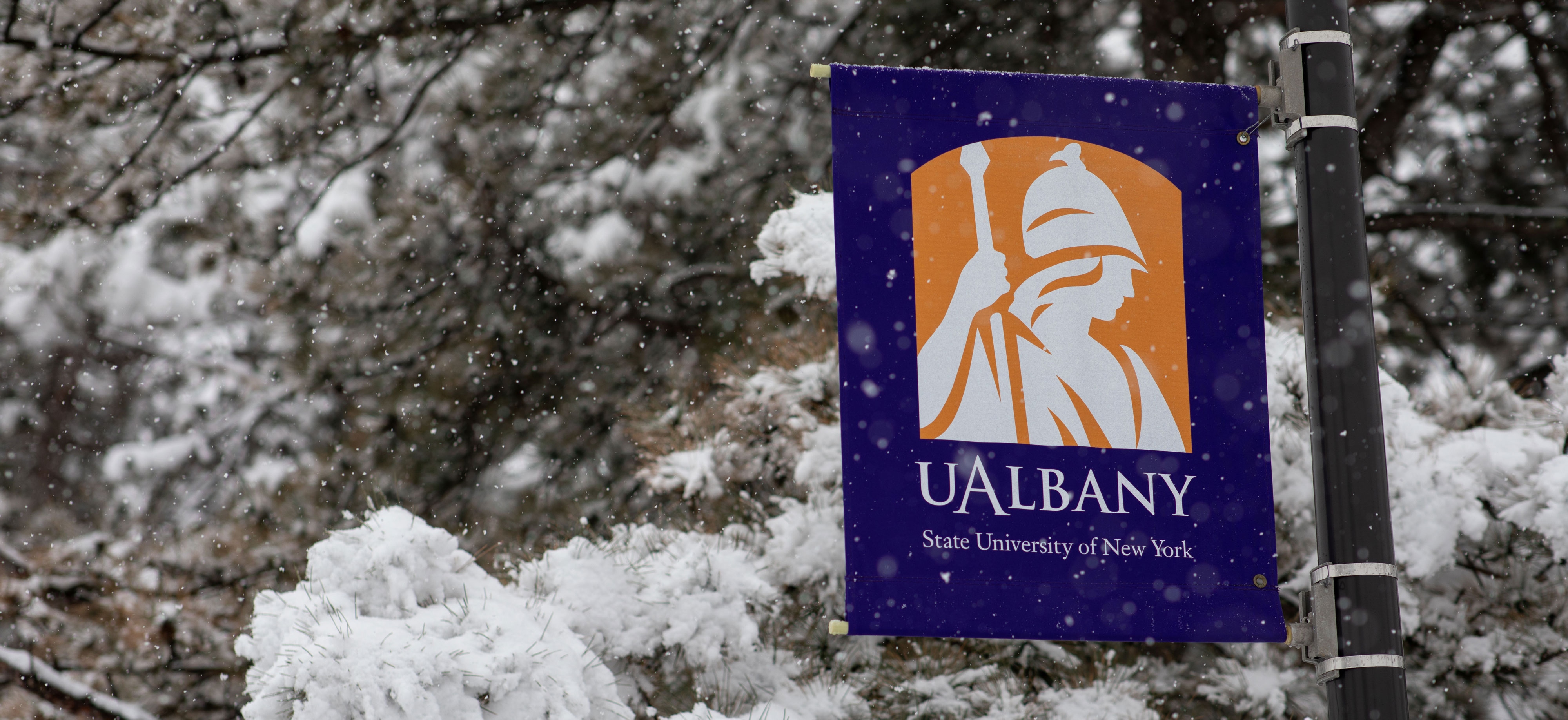 A purple and gold banner with the words, "UAlbany, State University of New York" and the University's Minerva logo on a snowy day.