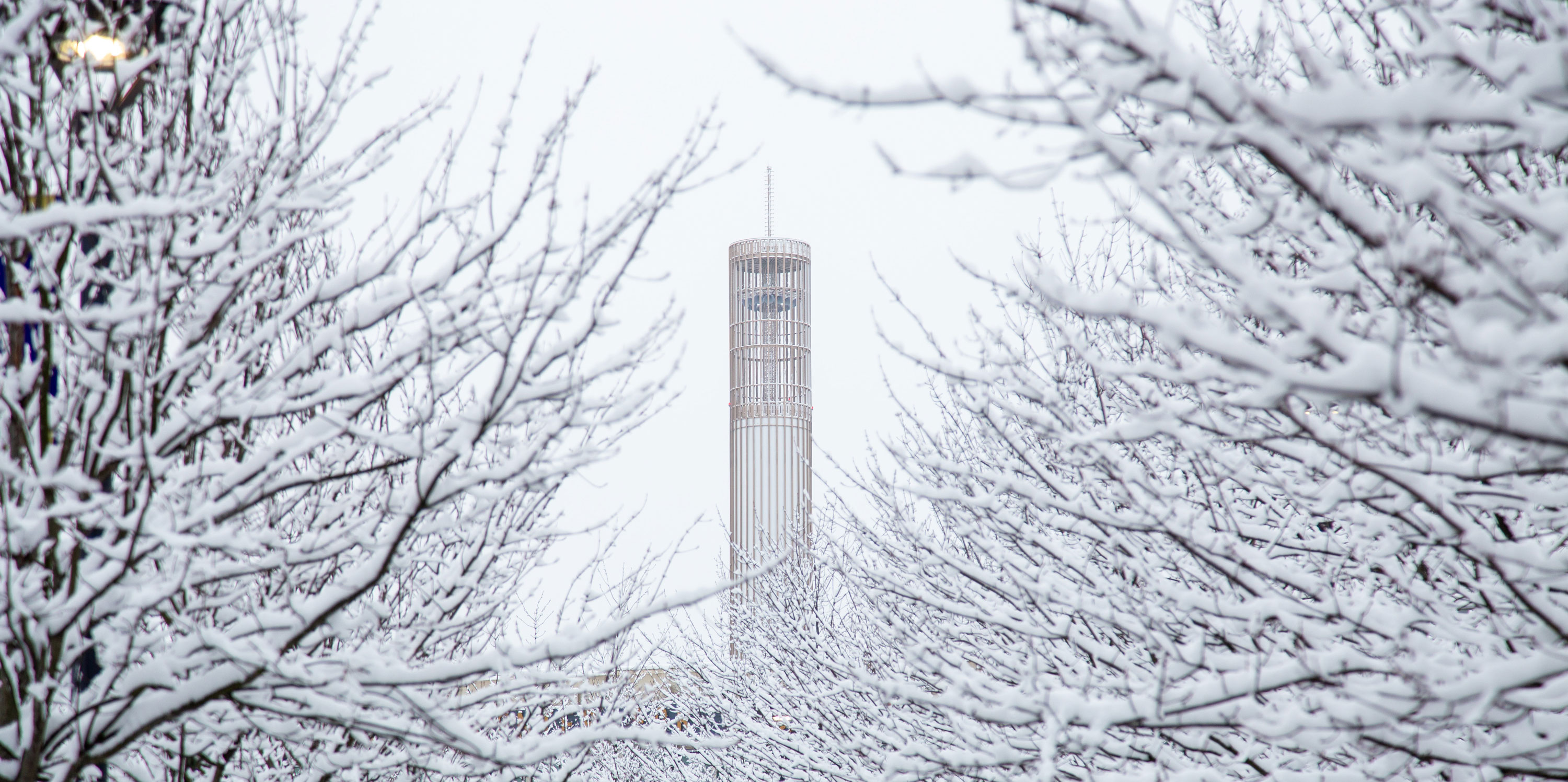 The UAlbany carillon tower is seen through snowy branches on a winter day.