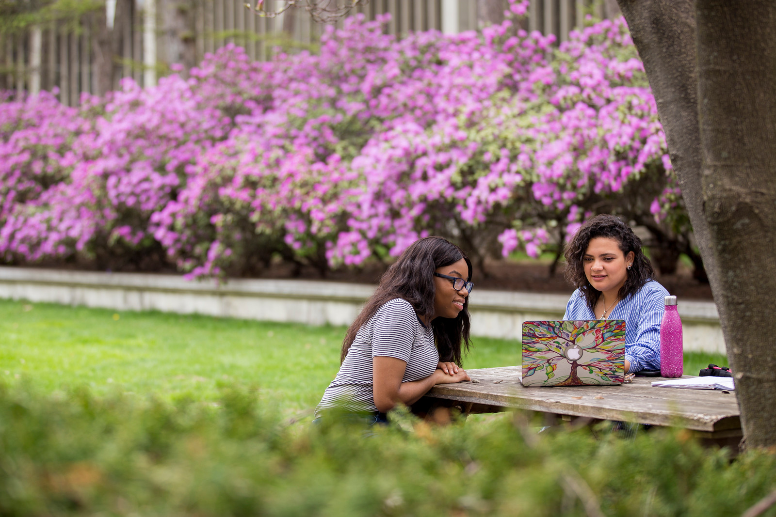 Two students studying in the UAlbany east garden.