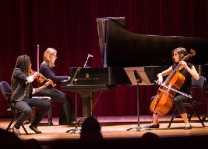 Student musician performing on piano and stringed instruments