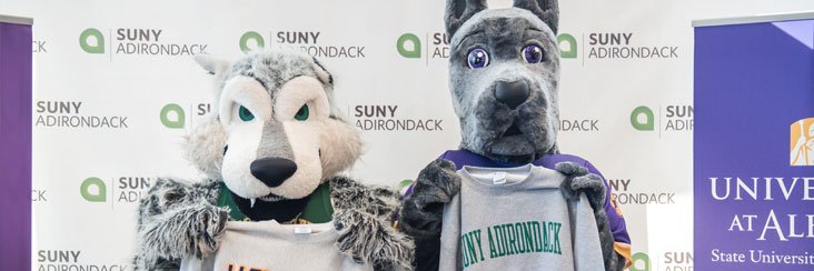 UAlbany Great Dane mascot holding a SUNY Adirondack sweatshirt with SUNY ADK mascot holding a UAlbany sweatshirt.