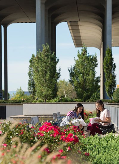 students studying outside near flowers