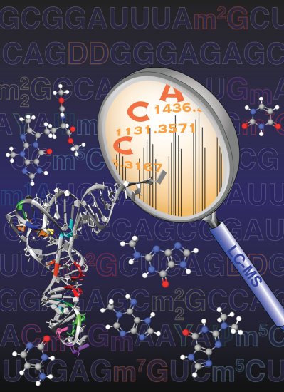 A colorful illustration depicting the automatic LC-MS-based method.