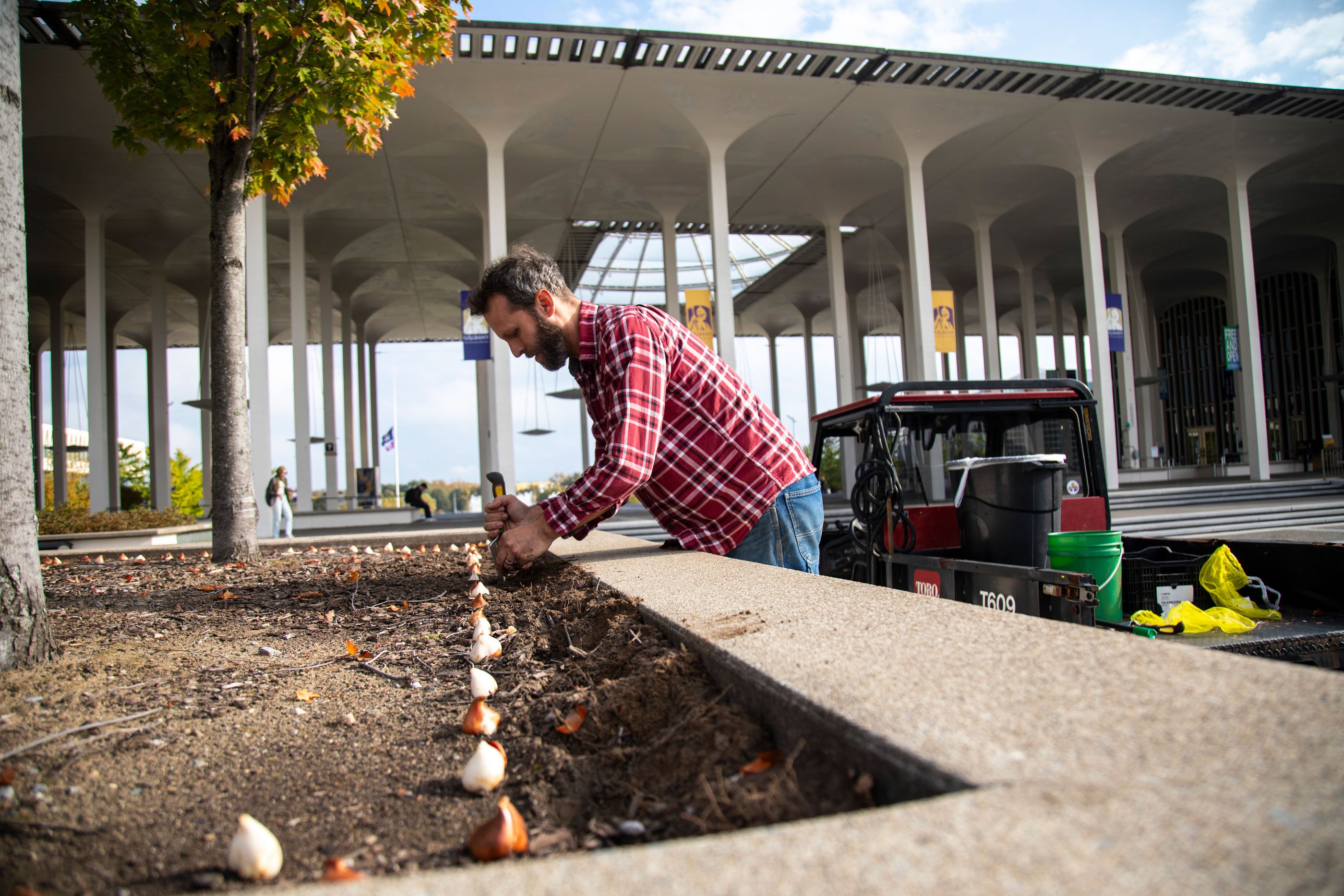 A grounds crew member plants tulips on a sunny fall day.