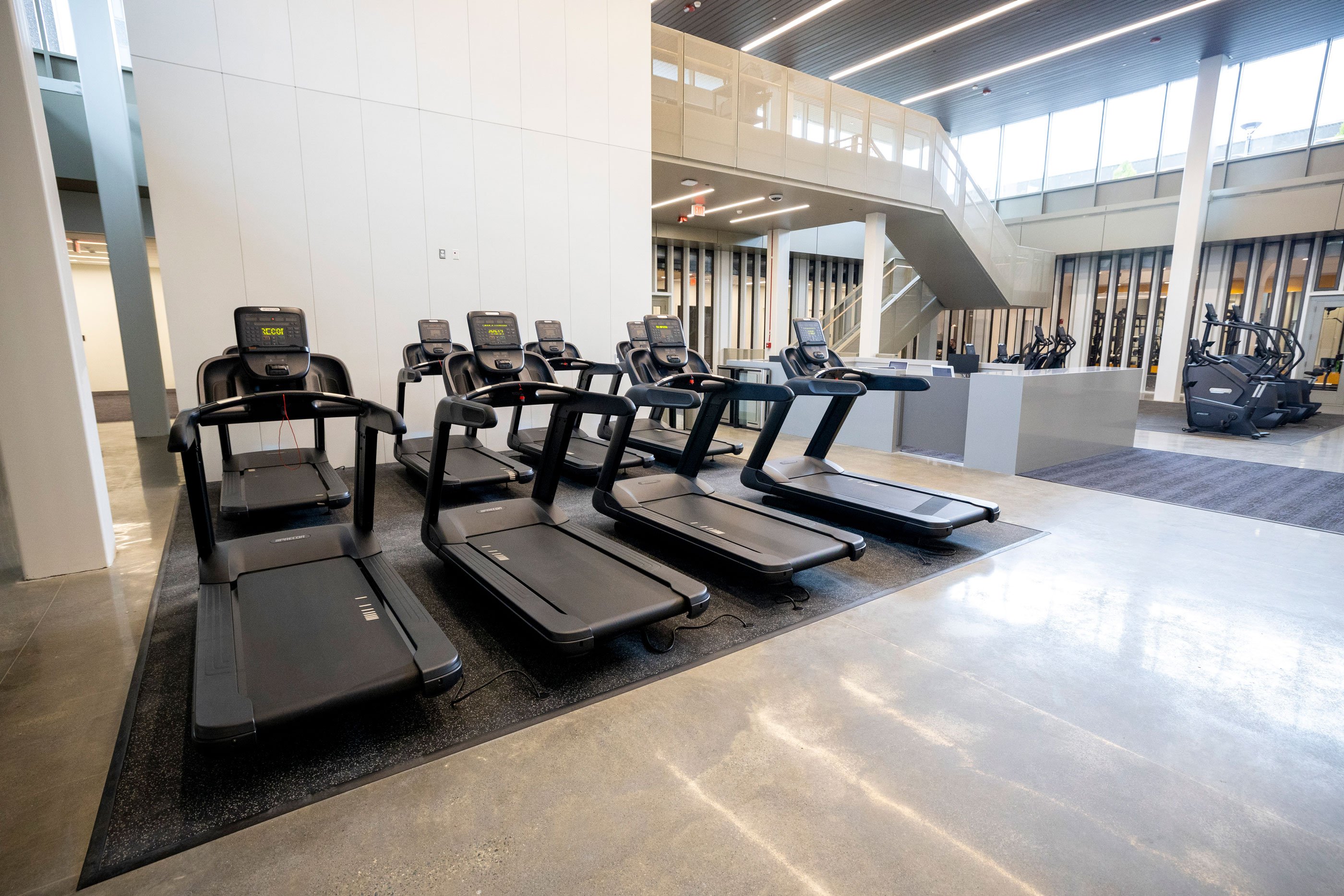 Eight treadmills lined up in two rows.