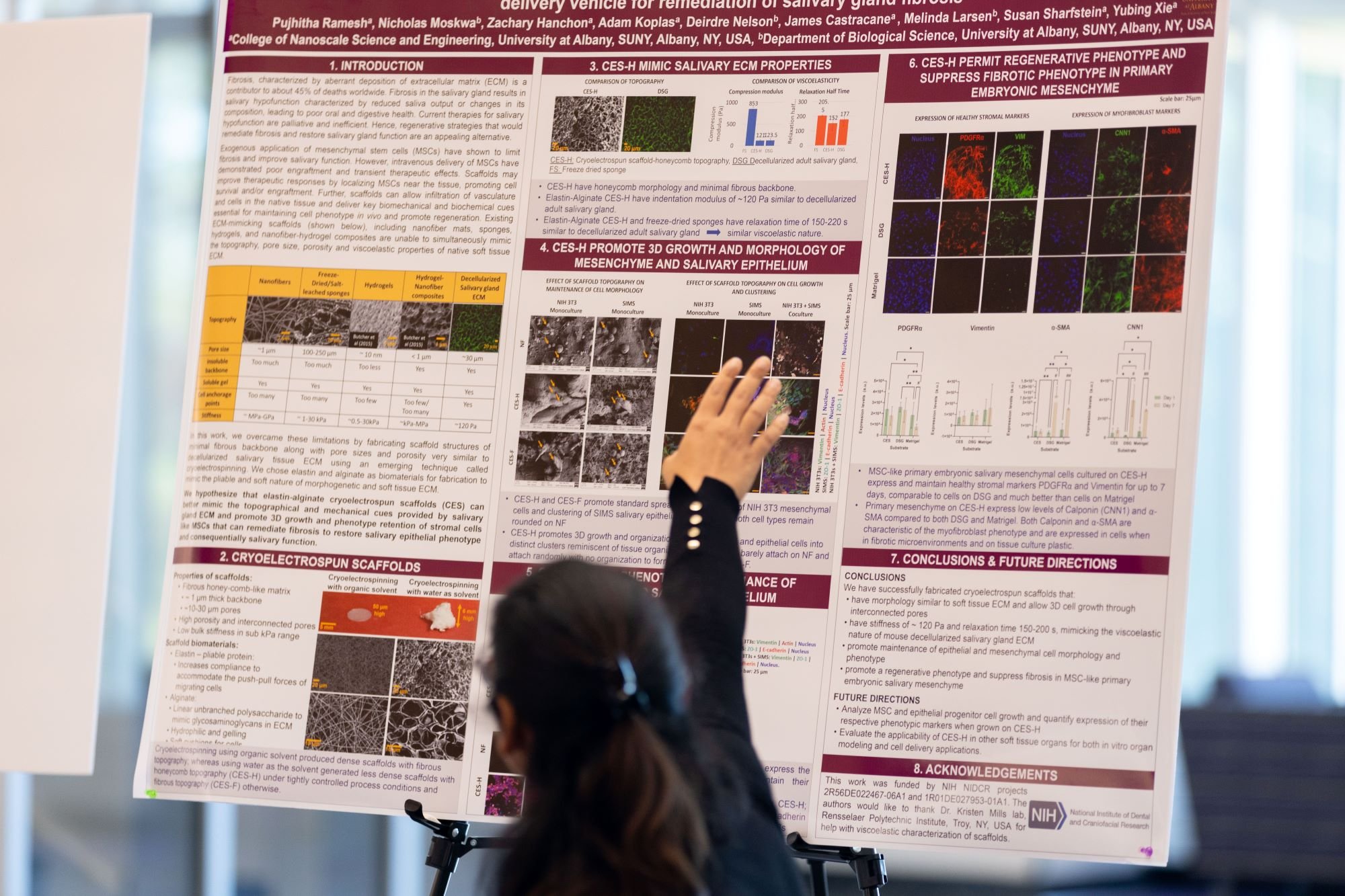 A student discusses her poster during R&E Week at UAlbany in October, 2024.