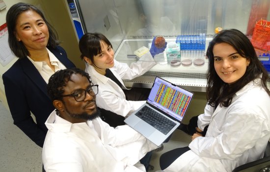 The image is of four UAlbany scientists. Two women and a man are seated, wearing white lab coats. The man is holding a laptop showing a colorful readout of genetic sequences. One of the women is wearing blue protective gloves and is holding a petri dish containing a red growing medium and bacteria, held under a glass protective hood. Other lab supplies including petri dishes, test tubes in a blue rack and a red container labeled biohazard are on the lab bench in the background, beneath the glass hood.