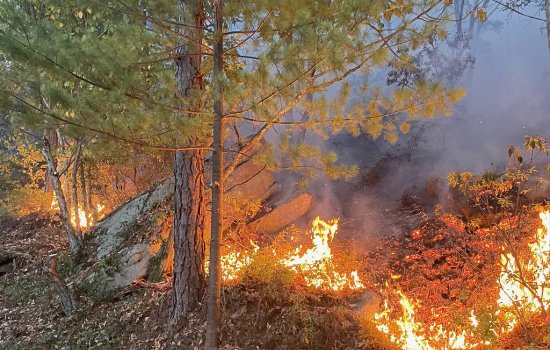 Fire engulfs the Minnewaska State Park Preserve in Ulster County.