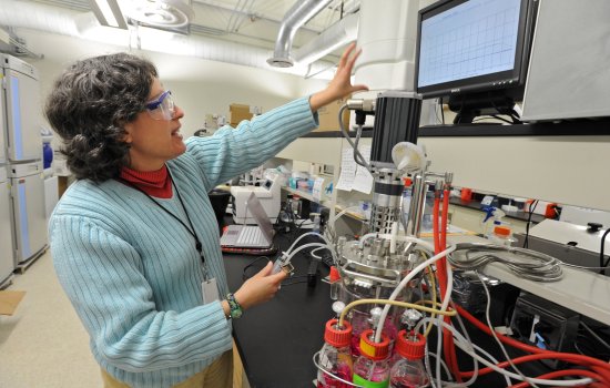 Professor of Nanoscale Engineering Susan Sharfstein showcases a bio reactor in her lab at UAlbany. (Photo by Lori Van Buren/Times Union, used by permission) 