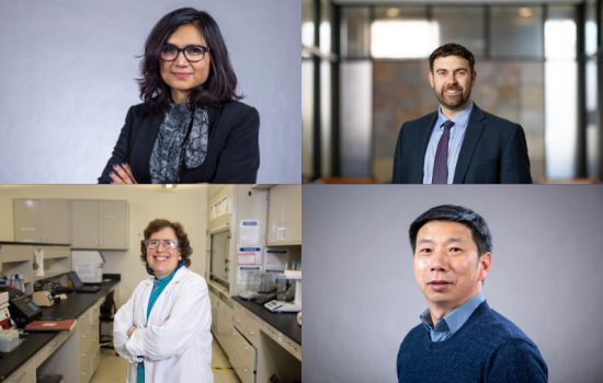 A four-photo collage against a purple background consisting of two portraits of women and two of men.