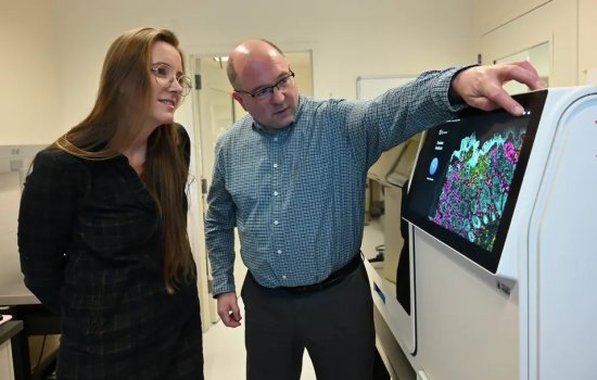 UAlbany Shorrock and Cleary