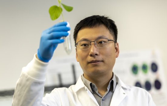 A man with short black hair and glasses in a white lab coat and blue gloves holds up a vial containing a plant