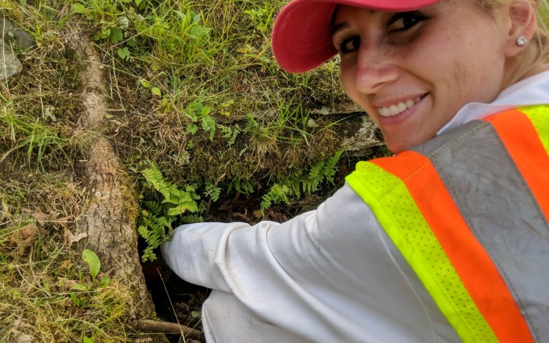 Rachel Lange digs by a tree.