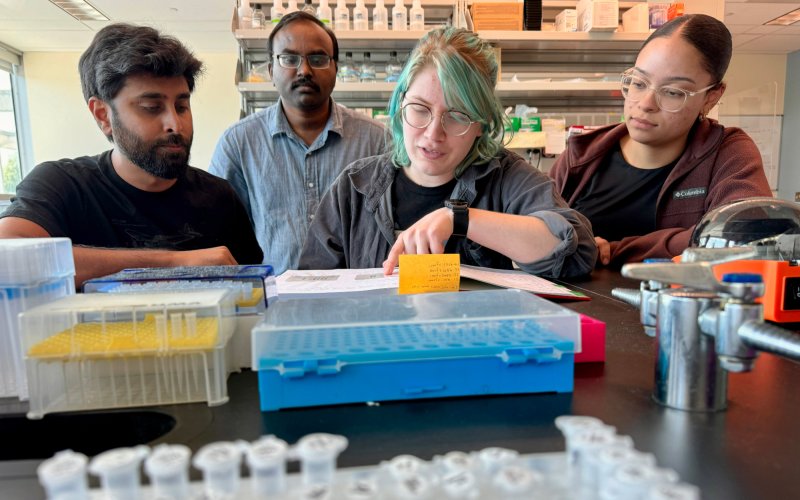  Four people, two men and two women, stand over a lab bench covered in plastic test tubes set in plastic cases. The woman in the middle points to a text as the others read over her shoulders. Shelves with various bottles and lab supplies line the back wall. 