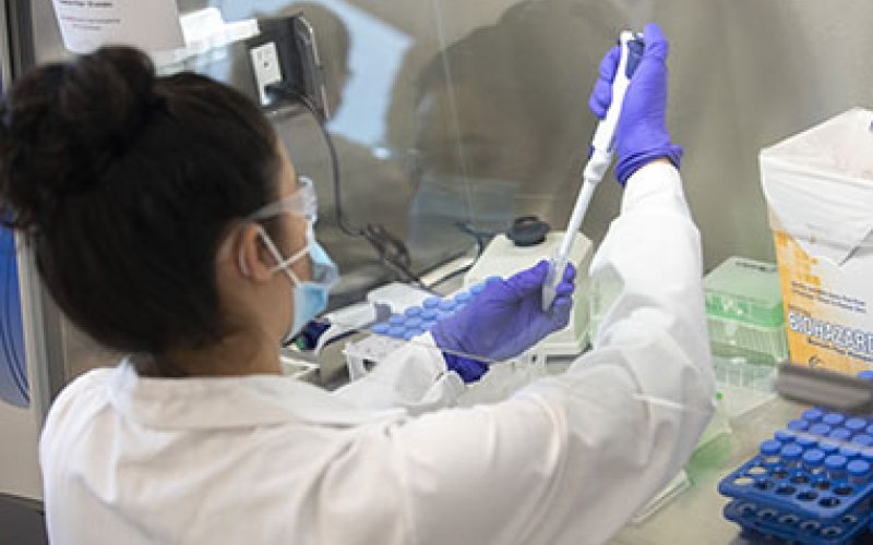 An RNA Institute team member analyzes saliva samples from the University's pooled surveillance testing program. Photo by Patrick Dodson.