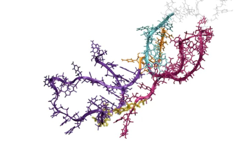 Chen Nature RNA Folding