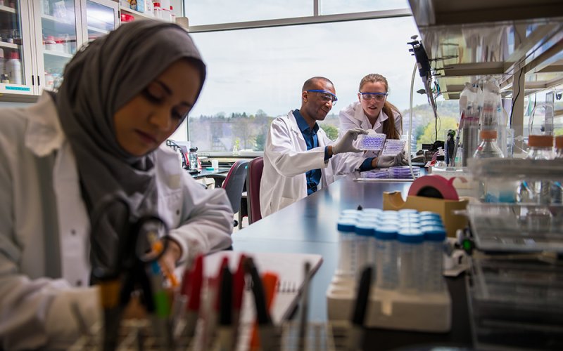 The Education Trust has identified UAlbany as a leader in advancing racial equity among the nation’s most selective public higher education institutions. (Photo by Mark McCarty)