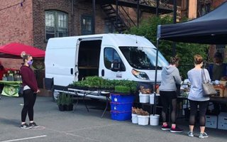 Troy Farmers Market