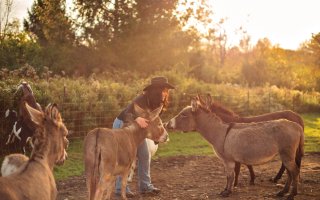 Cassandra Marshall stands in a fenced-in paddock surrounded by four small donkeys and two goats amid golden hour light. Marshall is wearing a dark brown Stetson-style hat, black top and blue jeans. Low brush and forest is blurred in the background.