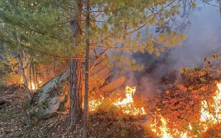 Fire engulfs the Minnewaska State Park Preserve in Ulster County.