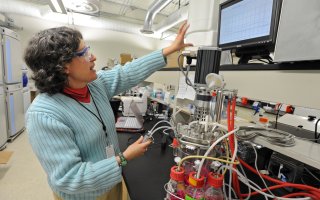 Professor of Nanoscale Engineering Susan Sharfstein showcases a bio reactor in her lab at UAlbany. (Photo by Lori Van Buren/Times Union, used by permission) 