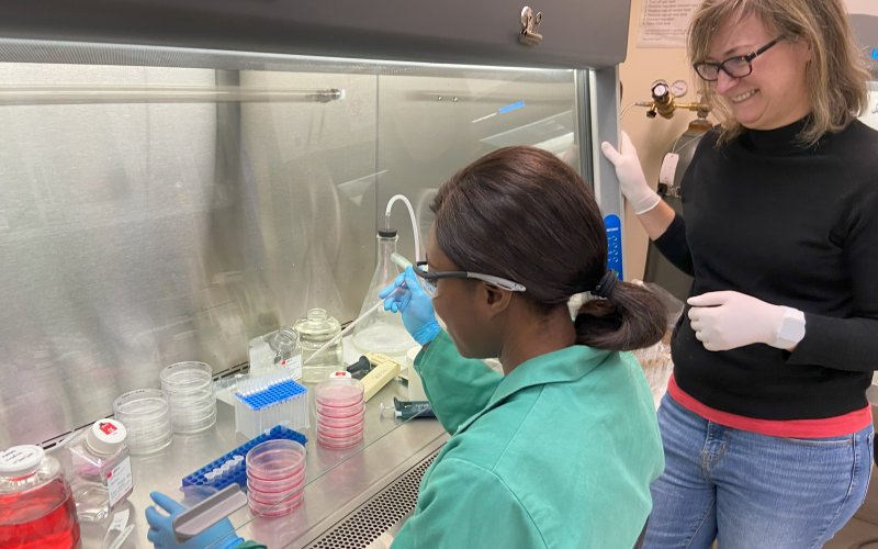 Image depicts two women in a brightly lit lab. One is seated at a lab bench, wearing green PPE and working with a stack of petri dishes and a pipette. The other, wearing glasses, latex gloves and a black sweater, stands next to her, smiling. 