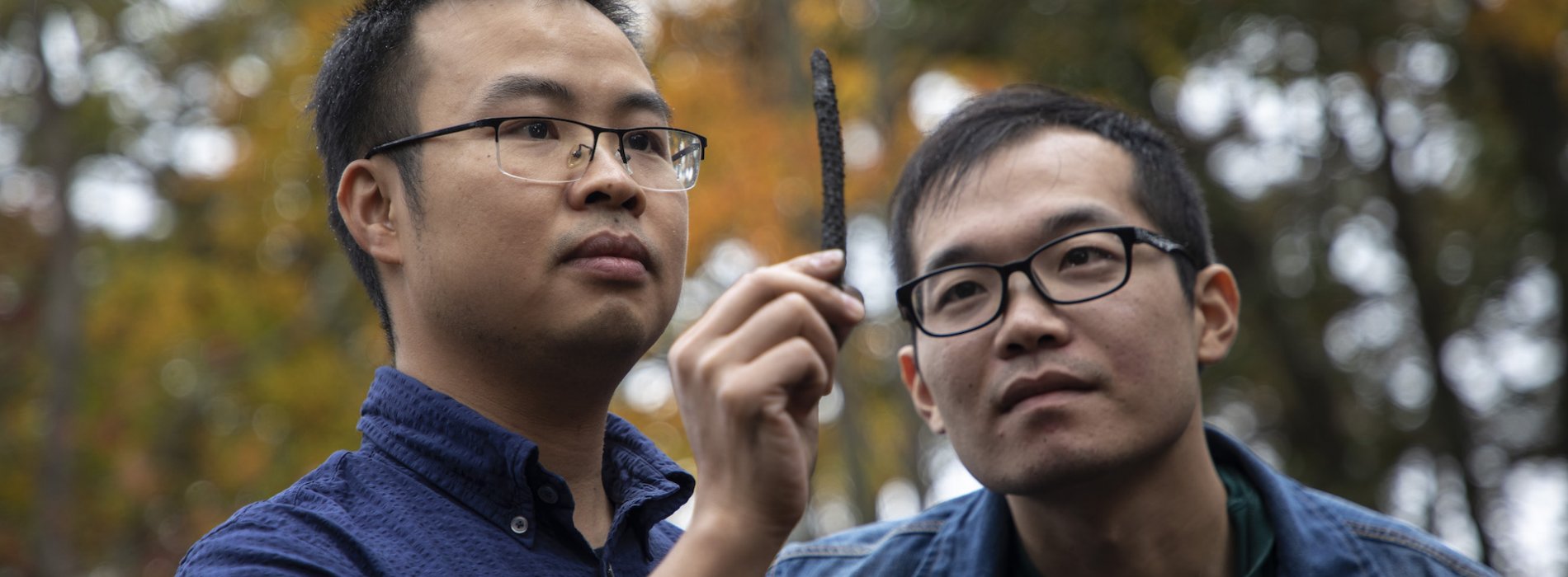 Dr. Rixiang Huang and Lingqun Zeng examining brush burn at Albany Pine Bush Preserve