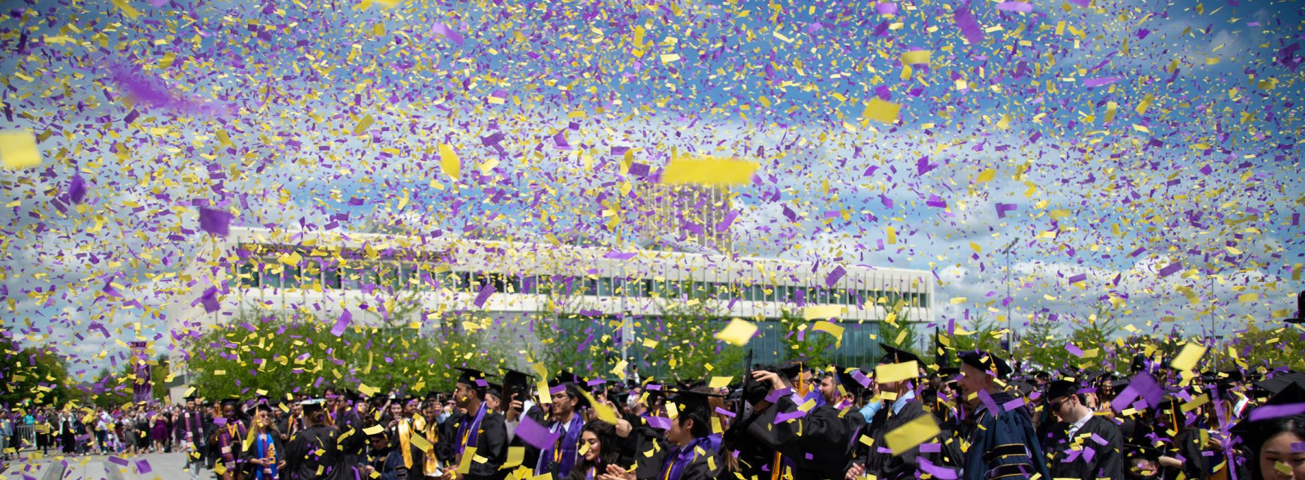 UAlbany Merit Pages | University At Albany