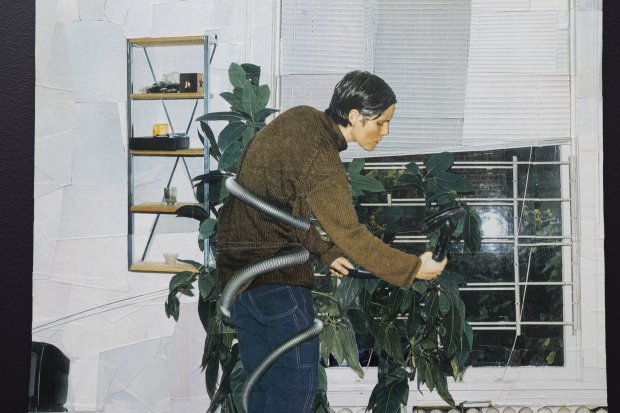 Person in a sweater and jeans wrapped in a vacuum in front of plants and a domestic space