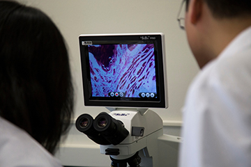 Yanna Liang's lab with postdocs viewing image on screen