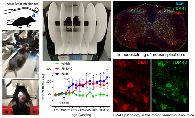 Research 6 Image