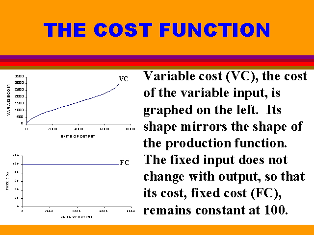 The Cost Function